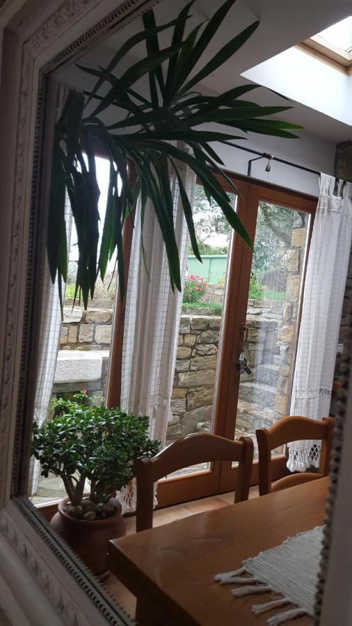 Istrian Stone House Villa เซโชเล ภายนอก รูปภาพ