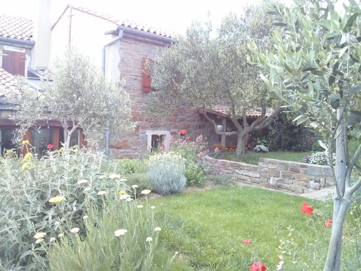 Istrian Stone House Villa เซโชเล ภายนอก รูปภาพ