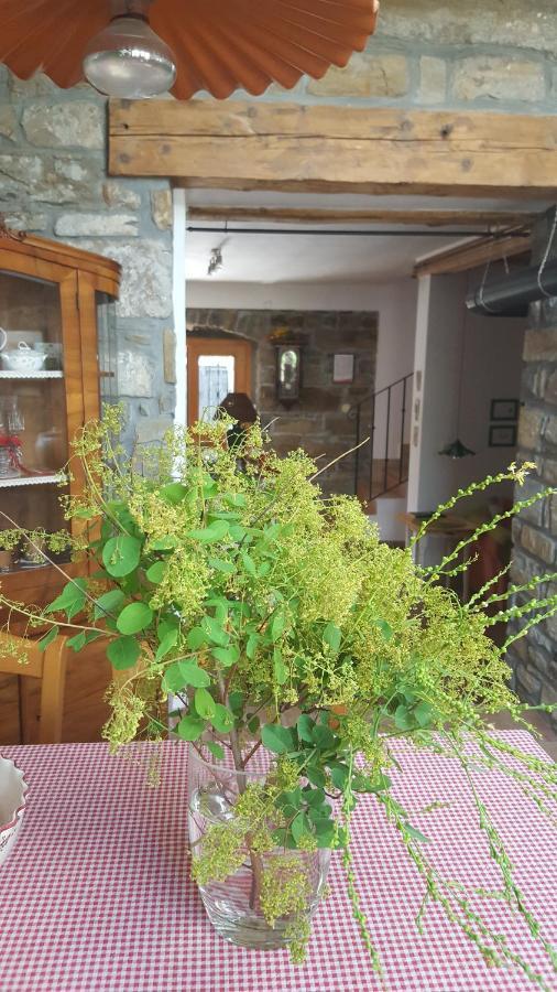 Istrian Stone House Villa เซโชเล ภายนอก รูปภาพ