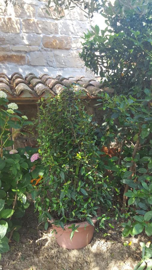 Istrian Stone House Villa เซโชเล ภายนอก รูปภาพ