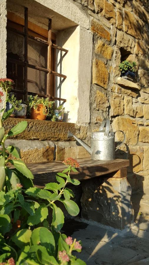 Istrian Stone House Villa เซโชเล ภายนอก รูปภาพ