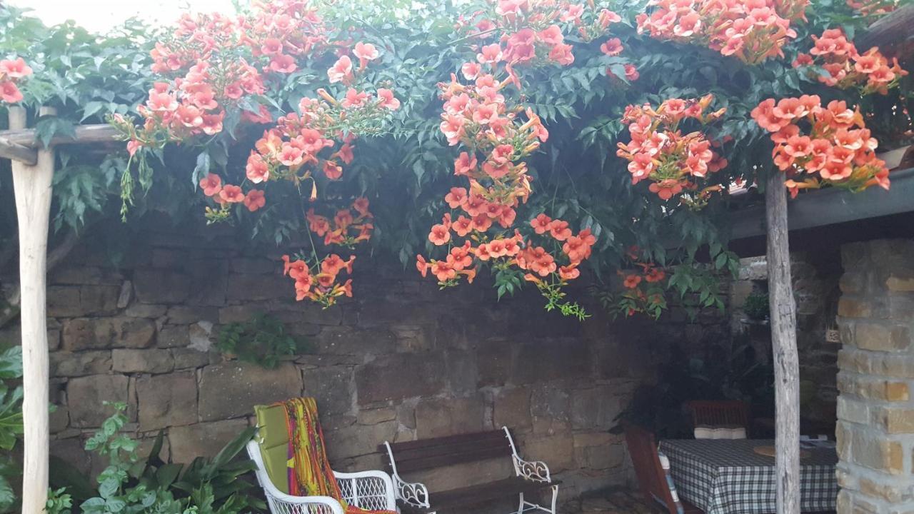 Istrian Stone House Villa เซโชเล ภายนอก รูปภาพ