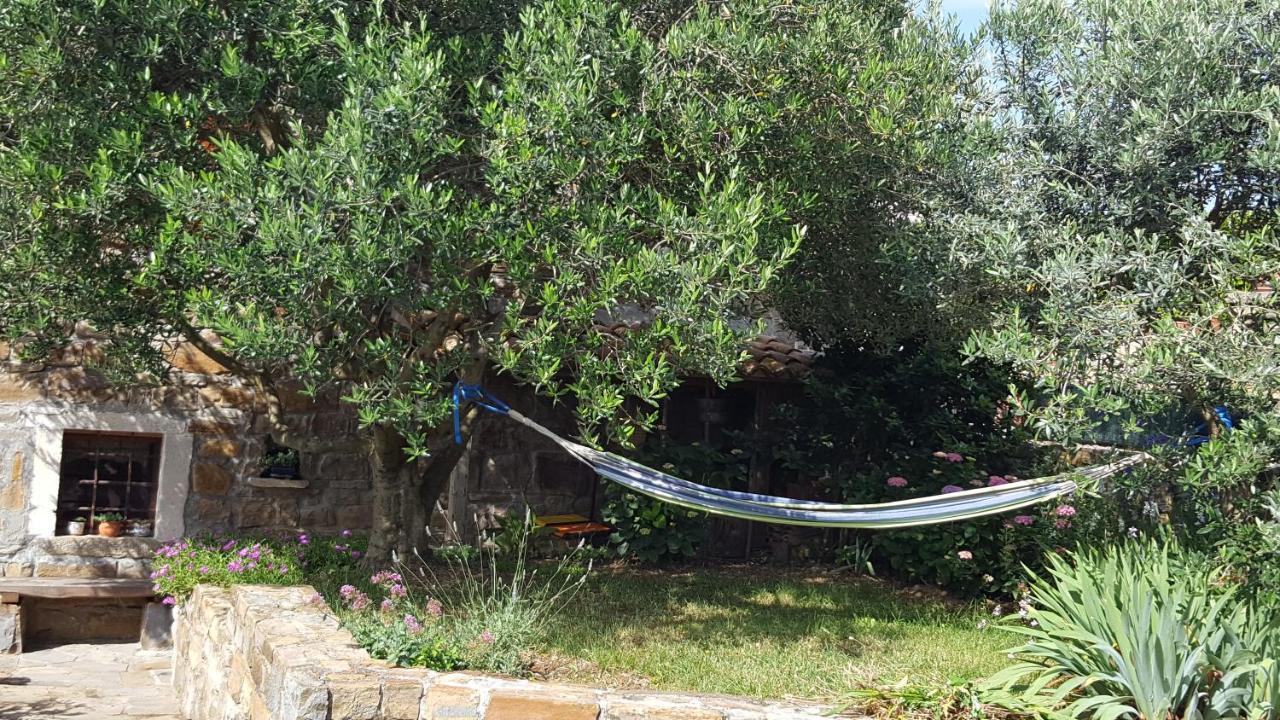 Istrian Stone House Villa เซโชเล ภายนอก รูปภาพ