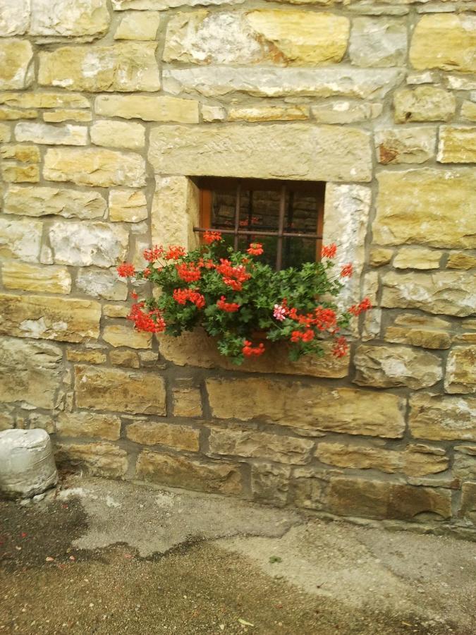 Istrian Stone House Villa เซโชเล ภายนอก รูปภาพ