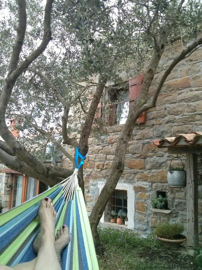 Istrian Stone House Villa เซโชเล ภายนอก รูปภาพ