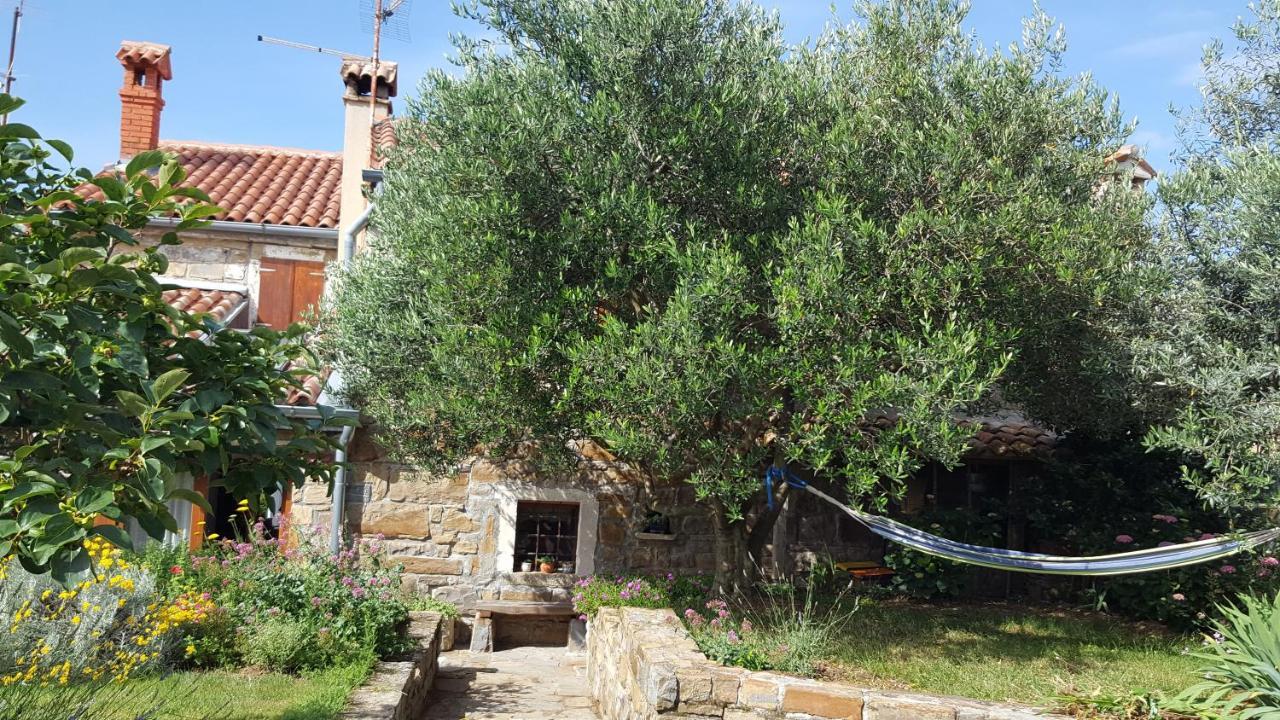Istrian Stone House Villa เซโชเล ภายนอก รูปภาพ