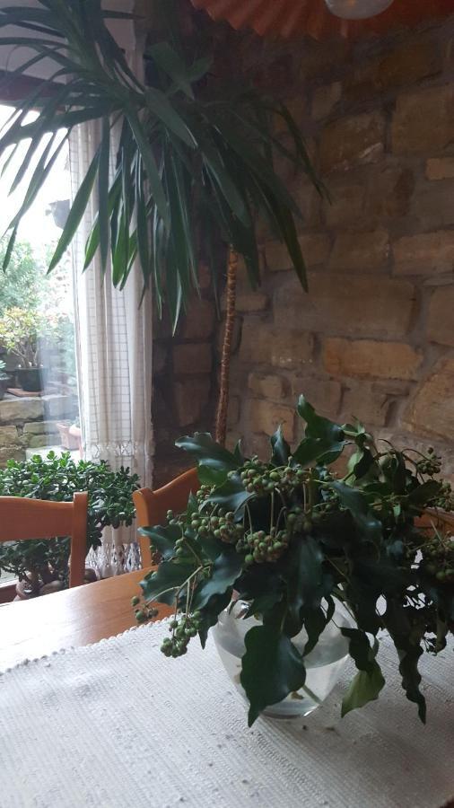 Istrian Stone House Villa เซโชเล ภายนอก รูปภาพ